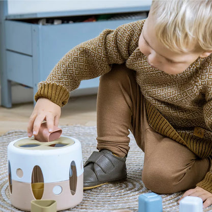 Eco Shape Sorter